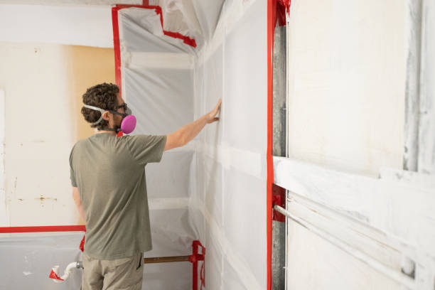 Best Airborne Mold Testing  in Marshall, MI
