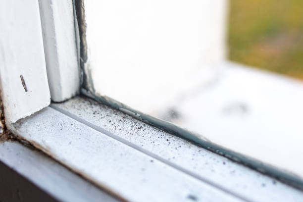 Best Real Estate Mold Inspection  in Marshall, MI