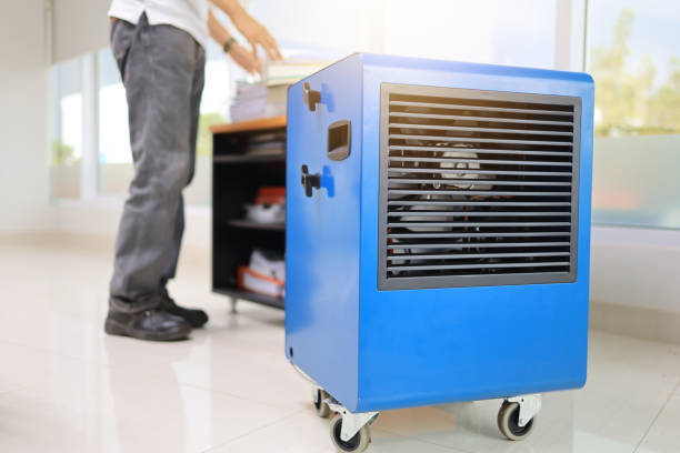 Best Forensic Mold Investigation  in Marshall, MI