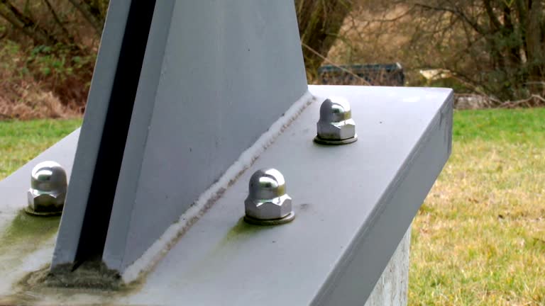  Marshall, MI Mold Removal Pros